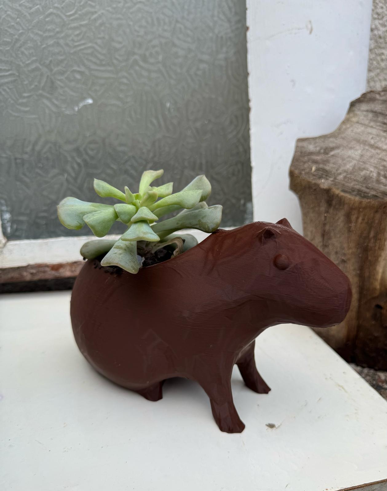 ¡Hermosa maceta de capibara!