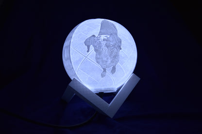 ¡Hermoso globo LED personalizado!