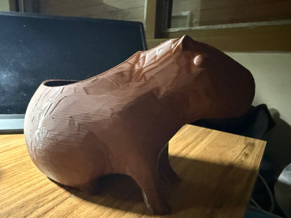 ¡Hermosa maceta de capibara!